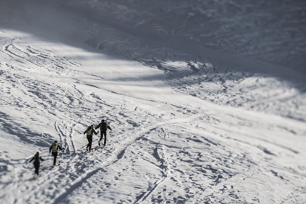 pessoas caminhando em terreno coberto de neve durante o dia