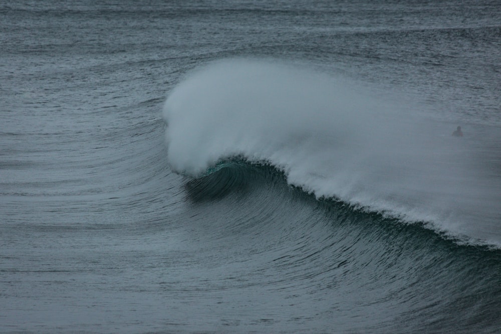 fotografia em tons de cinza de ondas do mar