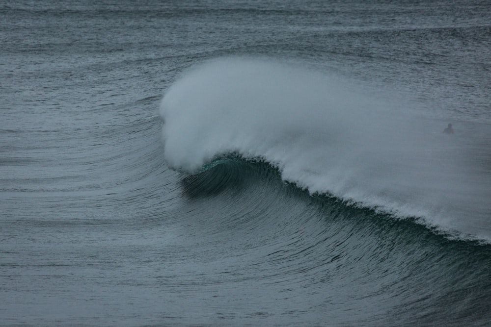 sea wave grayscale photography