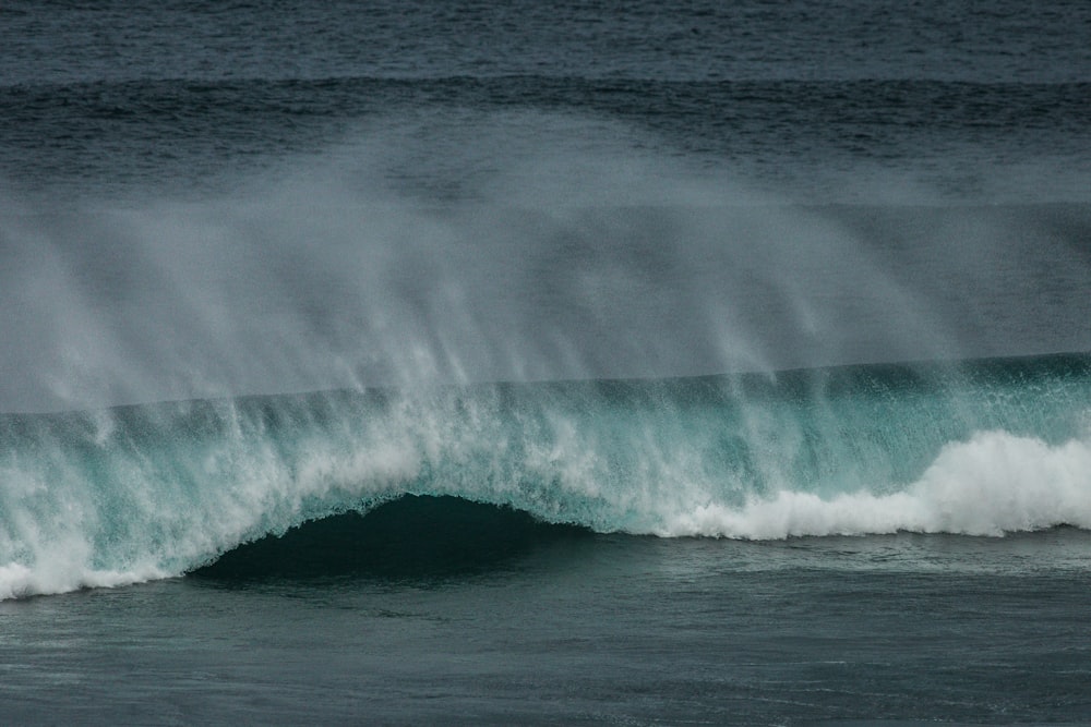 Fotografía de enfoque de olas oceánicas