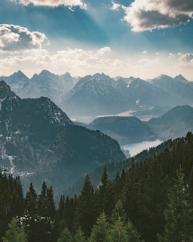 landscape photography of mountain and green trees