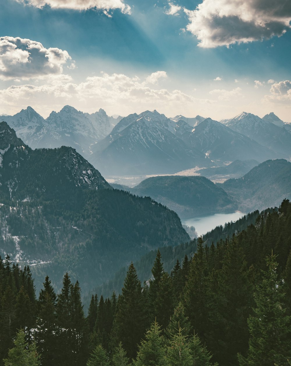 landscape photography of mountain and green trees