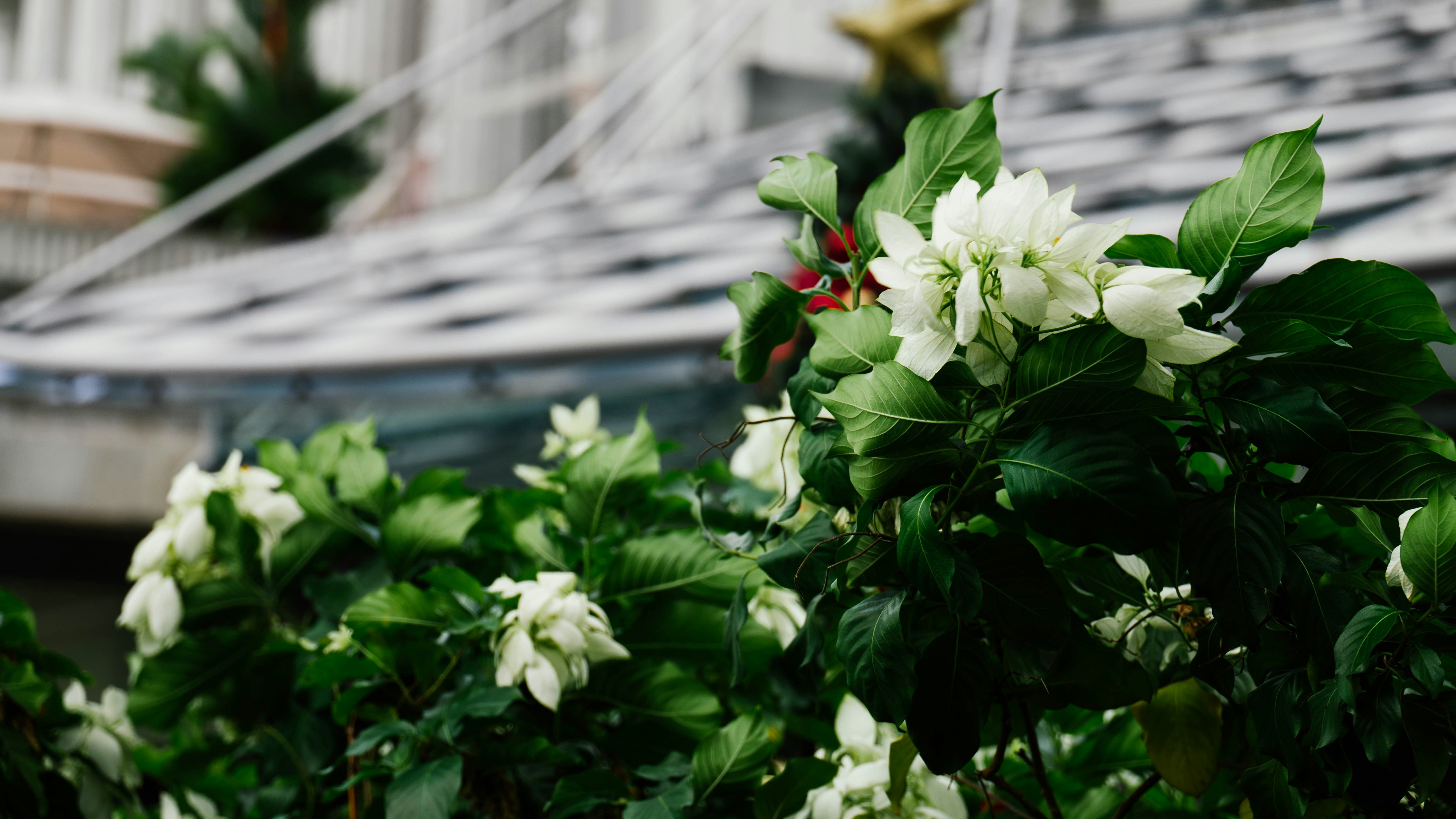 Photo by chuttersnap