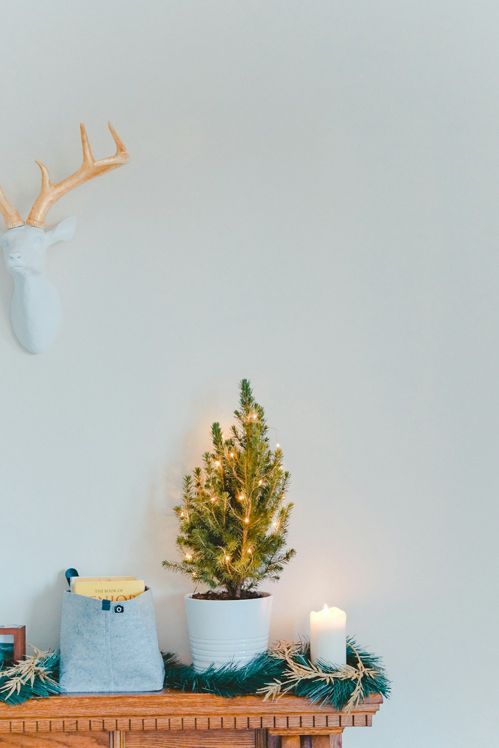 green leaf plant on white vase and brown console table inside room