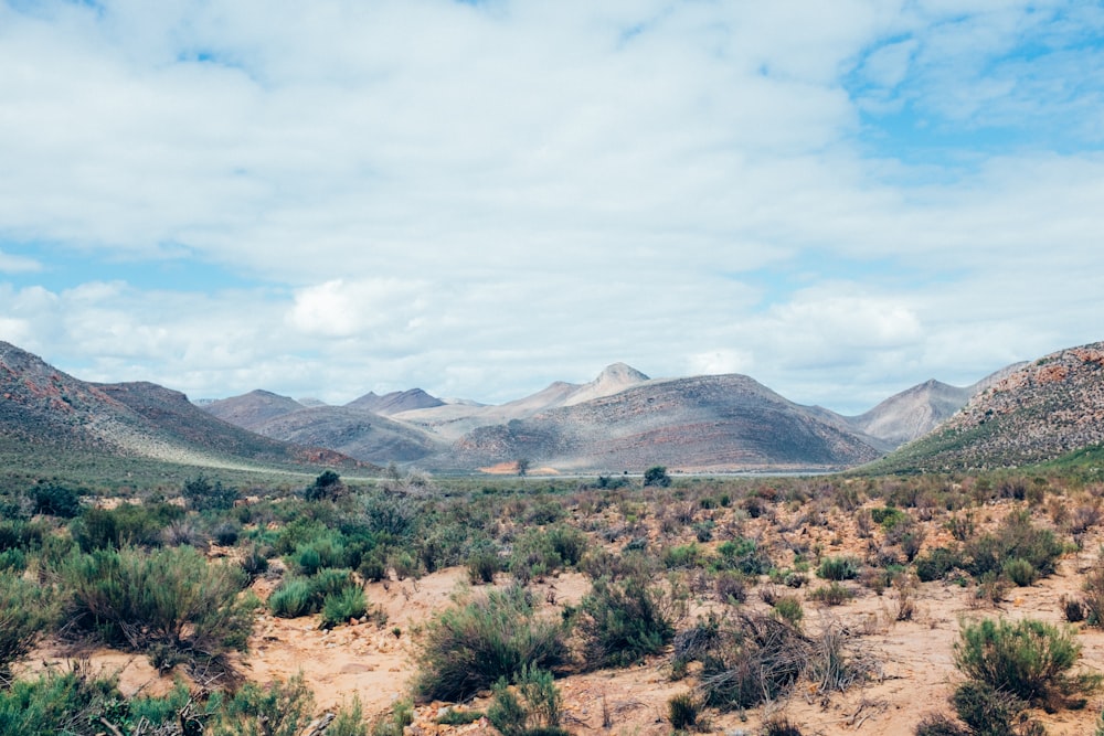 white cumulus clouds over desert