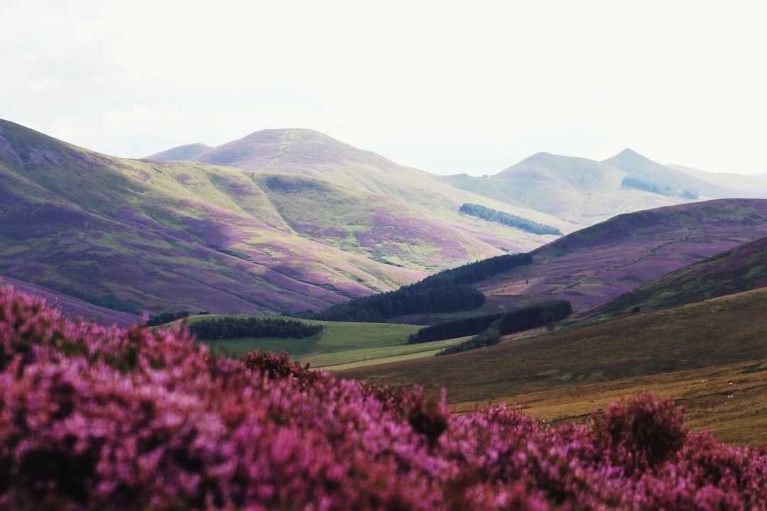 Hill photo spot Pentland Hills Neilston