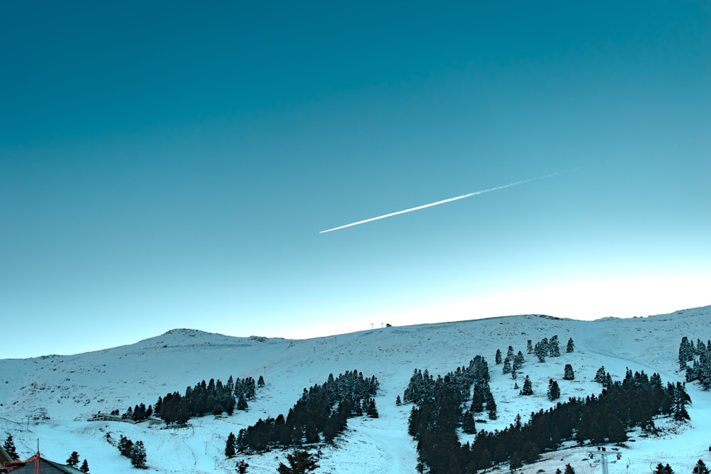 montagne e alberi verdi sotto il cielo blu durante il giorno