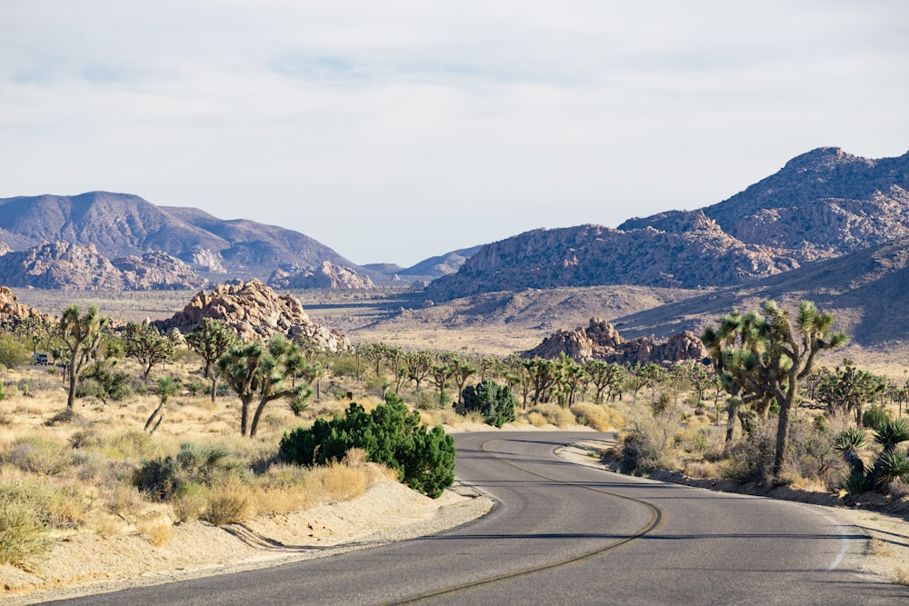 gray concrete top road near brown mountains