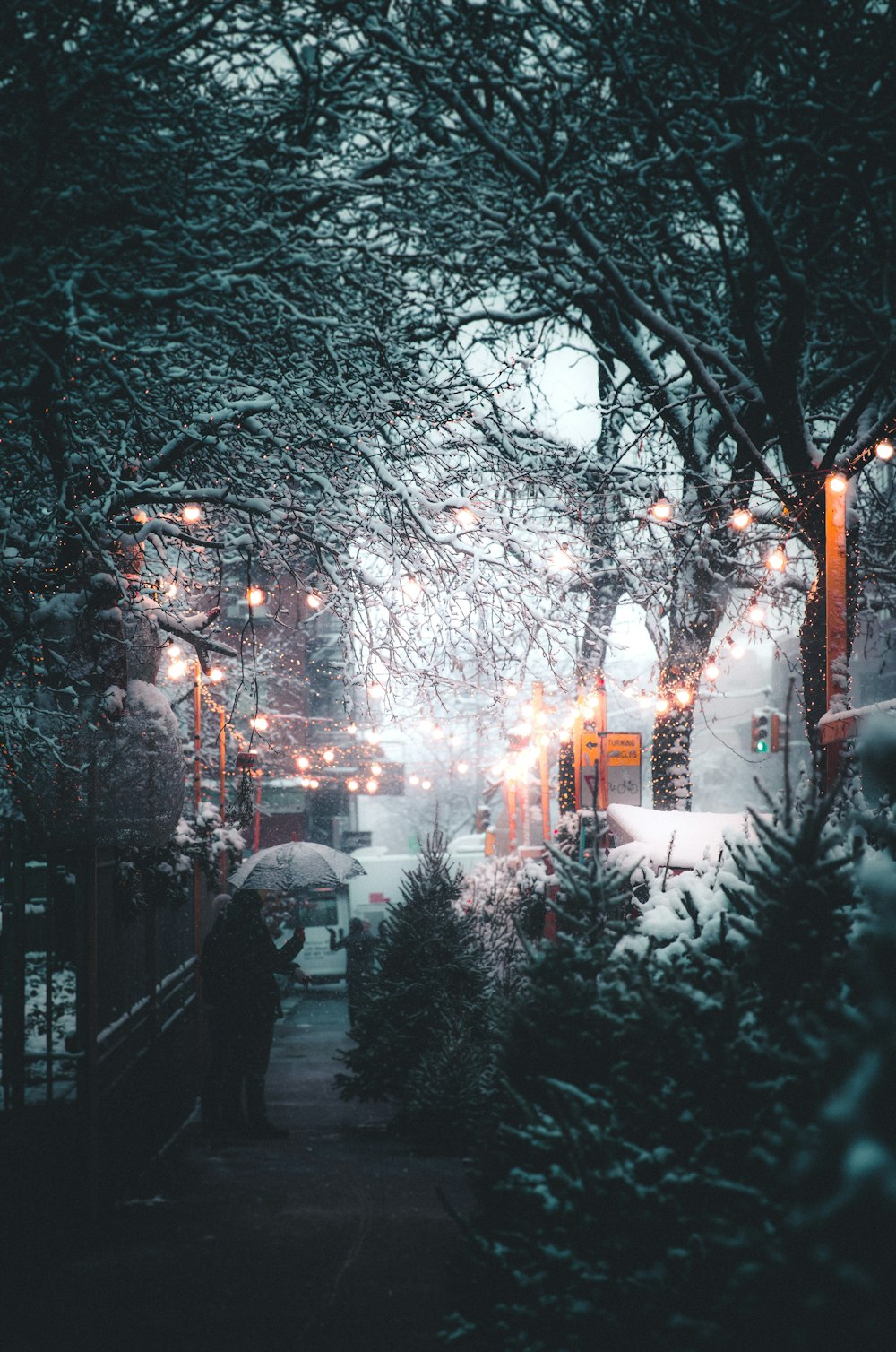 person holding umbrella near streetlight and trees at daytime