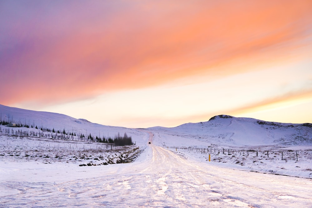 snow covered field during golden hour