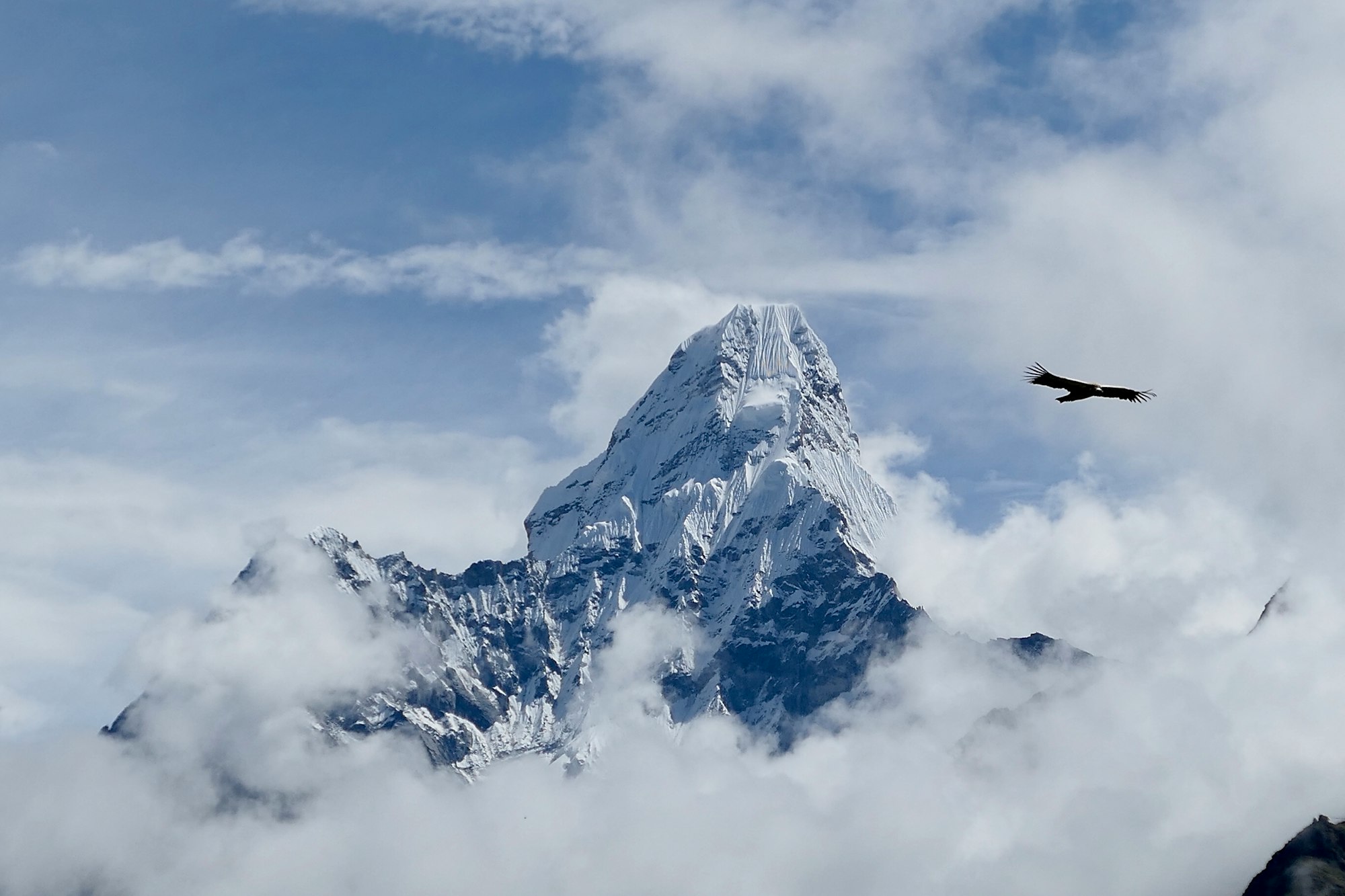 How my perception about entrepreneurship changed after visiting the Himalayas