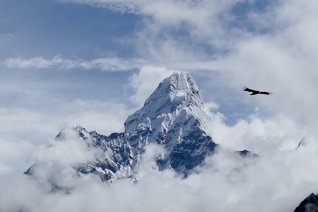 Shangri-La Showdown: Bhutan vs. Nepal - Which Himalayan Hotspot is… — Shangri-La Showdown