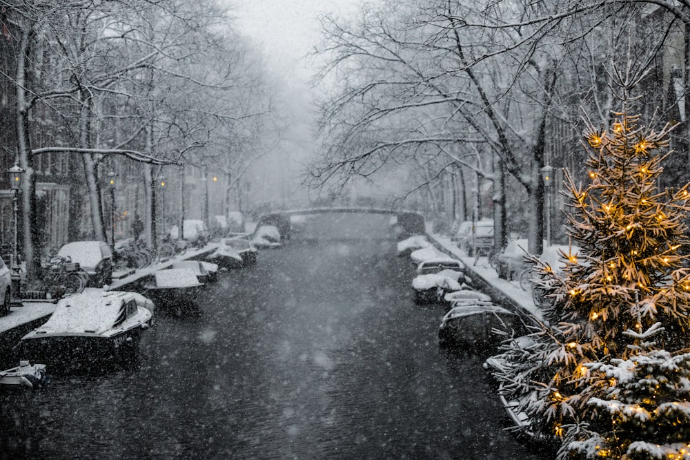 boats on body of water near bridge during snow