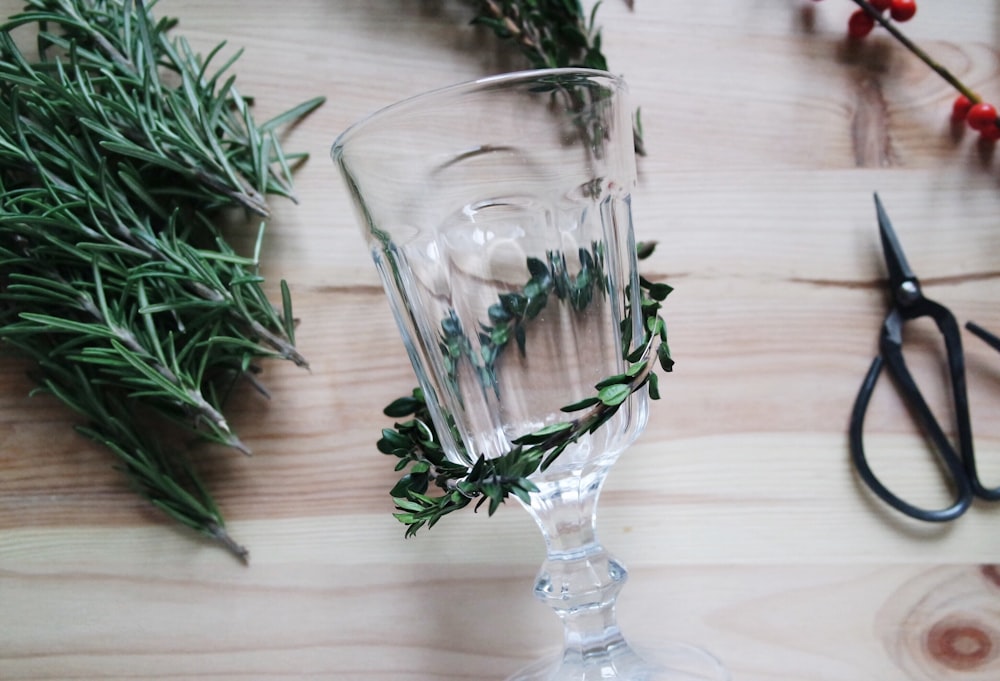 Vaso transparente en copa con brazalete de hojas