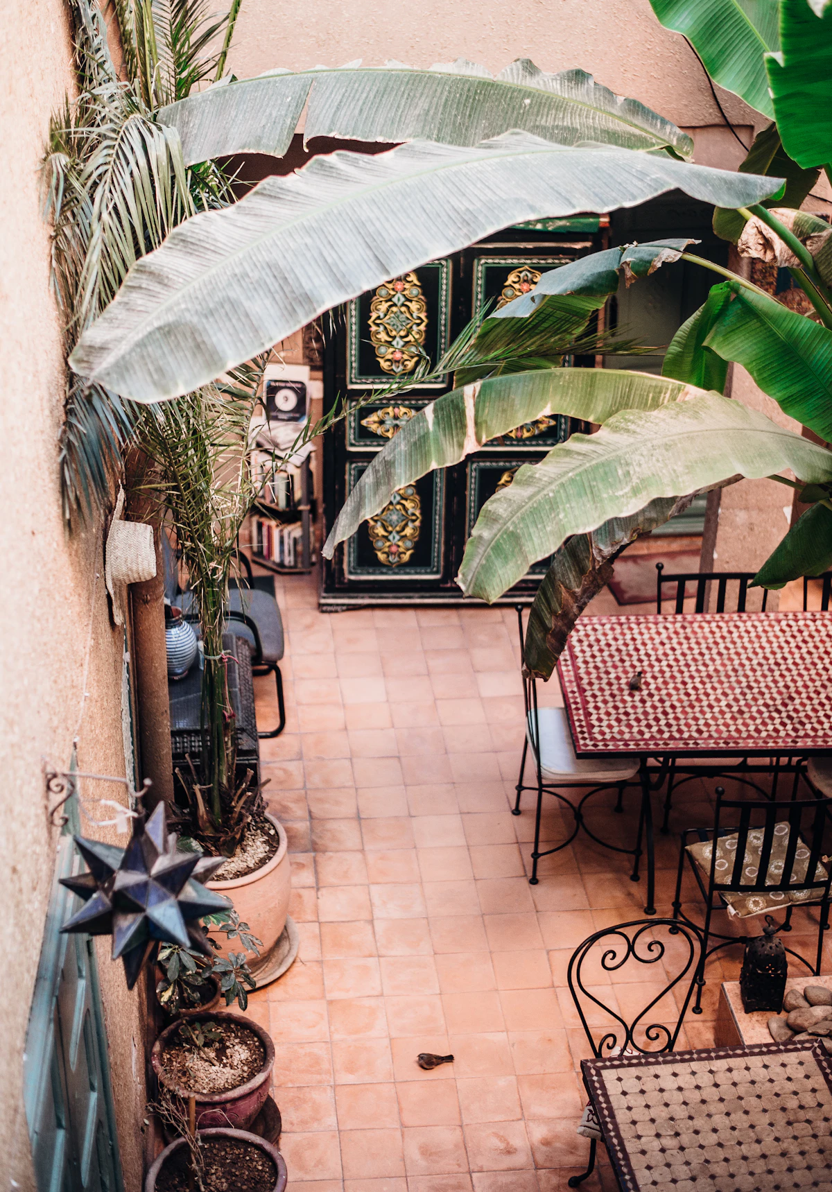 Patio intérieur d'un riad marocain avec vignes grimpantes et vue plongeante sur les plantes