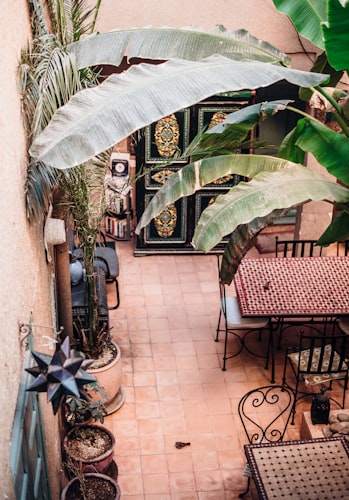Terrasse de riad marocain avec table, chaises en fer forgé et bananier à Marrakech