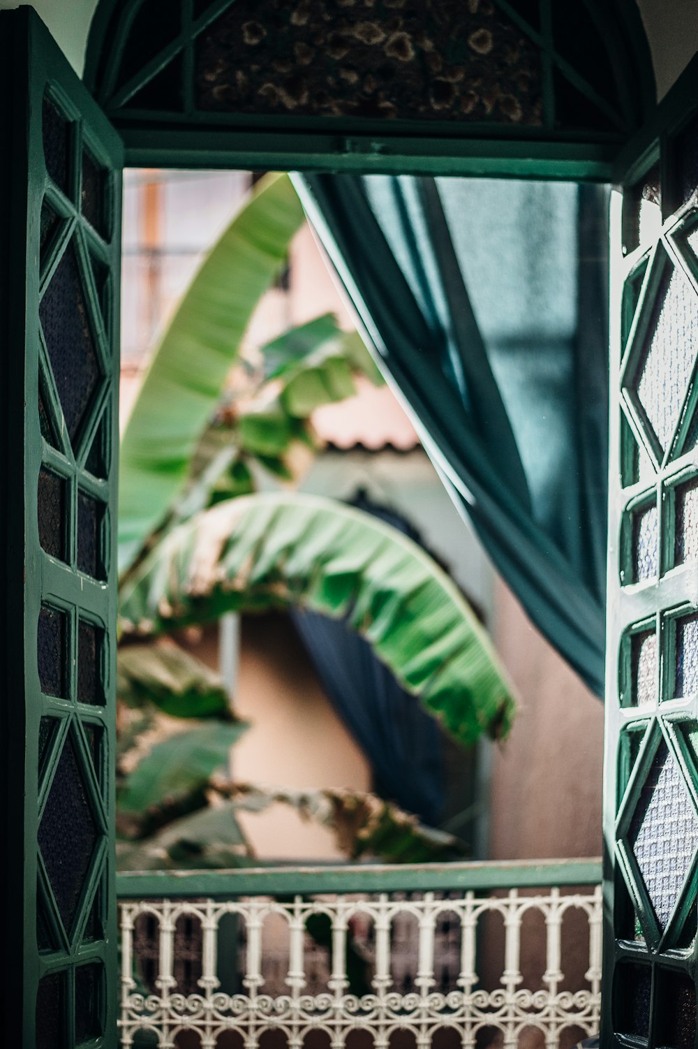 closeup photography of green wooden door open near banana tree