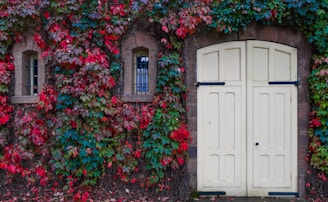 rule of thirds photo of white door
