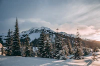 Best Hidden Speakeasies in Whistler You Need a Tip to Find