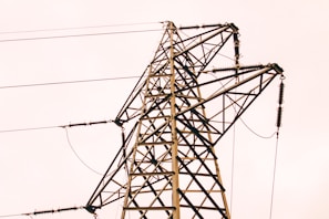 brown metal electric post