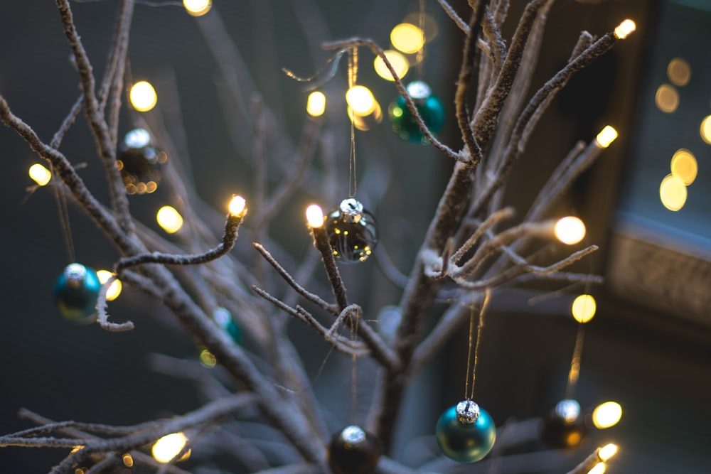 turned on string lights hanging on bare tree with baubles