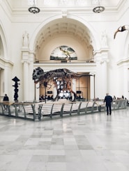people inside dinosaur fossil museum during daytime