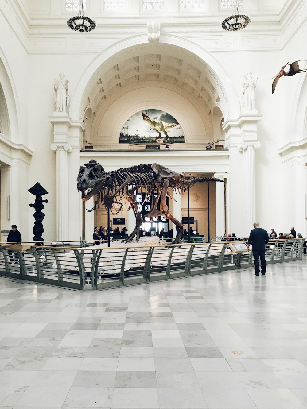 personnes à l’intérieur du musée des fossiles de dinosaures pendant la journée