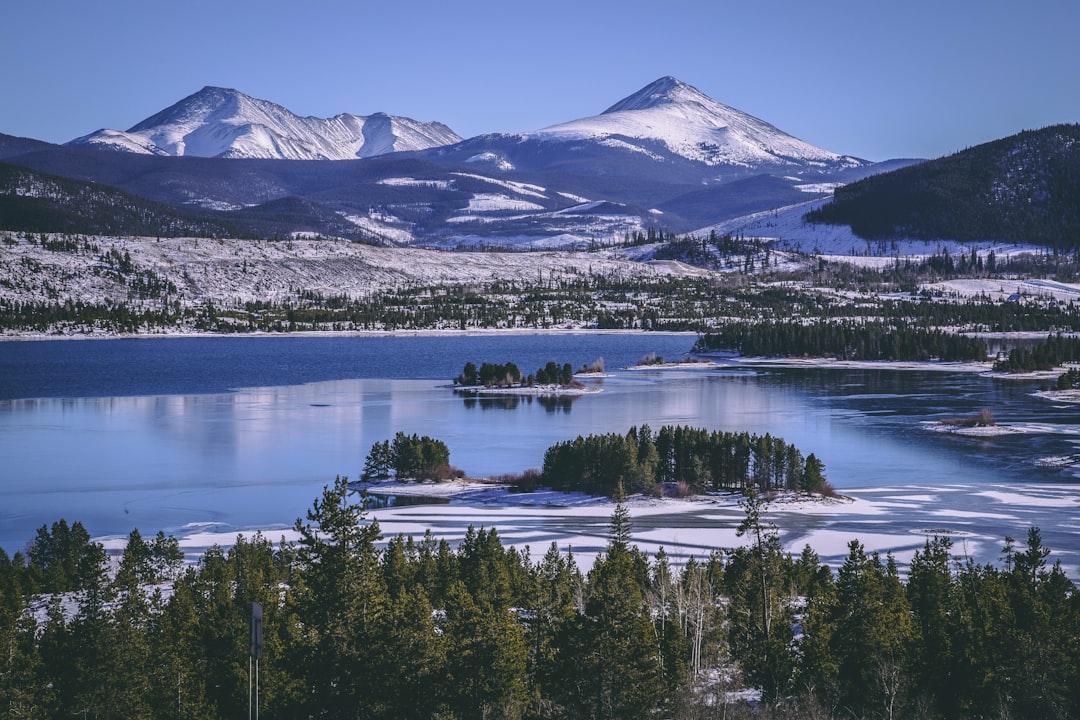 green leaf trees near body of water with distance to mountain