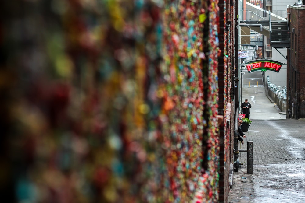 close view of colored padlocks on the wall