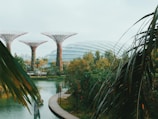 Futuristic tree-like structures rise above lush greenery near a tranquil body of water, with a futuristic dome structure in the background. Palm leaves frame the scene, adding to the tropical aesthetic.