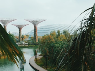 Futuristic tree-like structures rise above lush greenery near a tranquil body of water, with a futuristic dome structure in the background. Palm leaves frame the scene, adding to the tropical aesthetic.