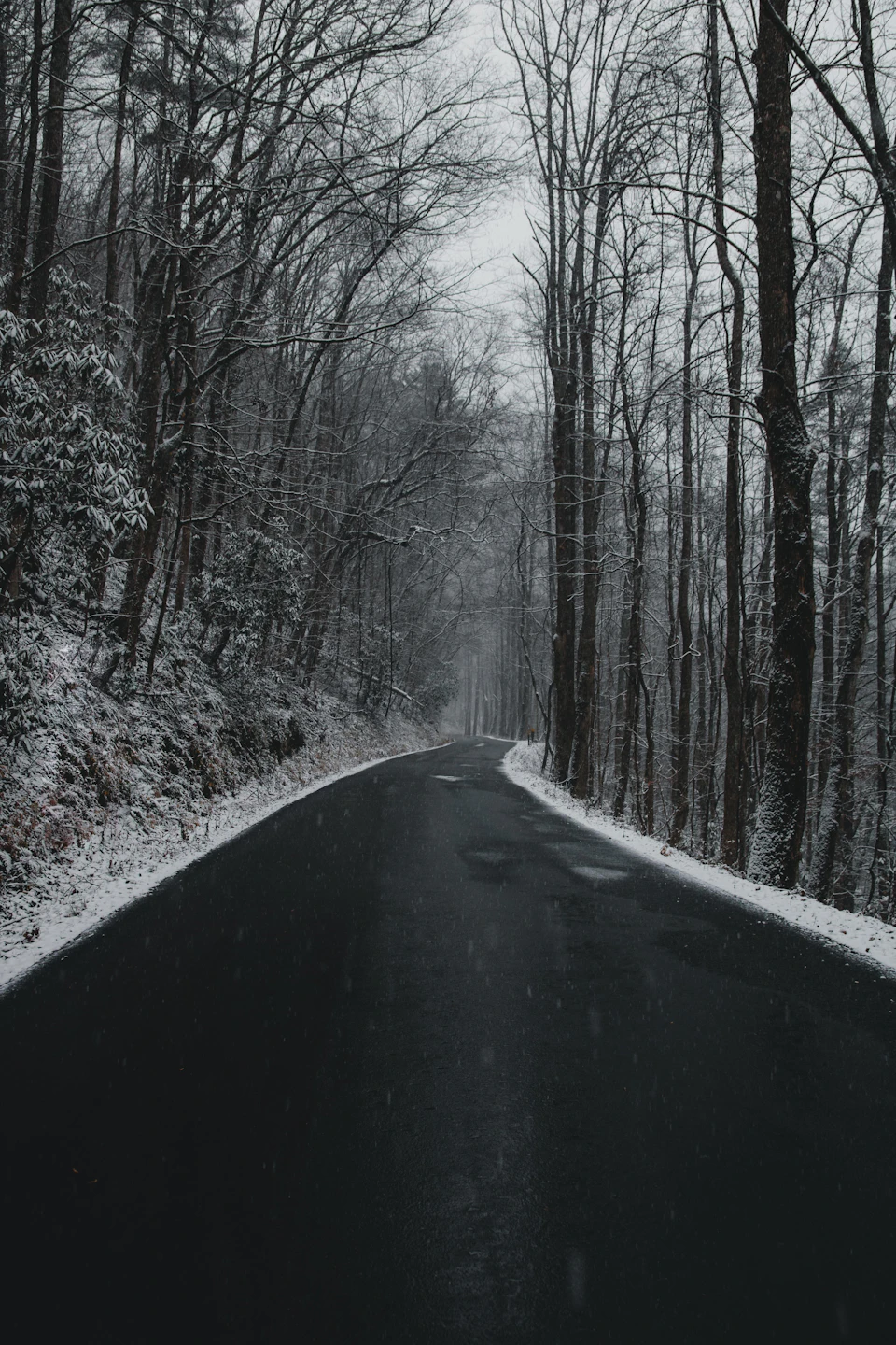The image depicts a serene winter scene on an asphalt road, surrounded by snow-covered trees and bushes lining both sides of the road. The sky above is overcast with clouds, casting a soft light that illuminates the landscape below. The perspective of the photo is from the side of the road, looking towards the horizon where the road meets the snowy forest.