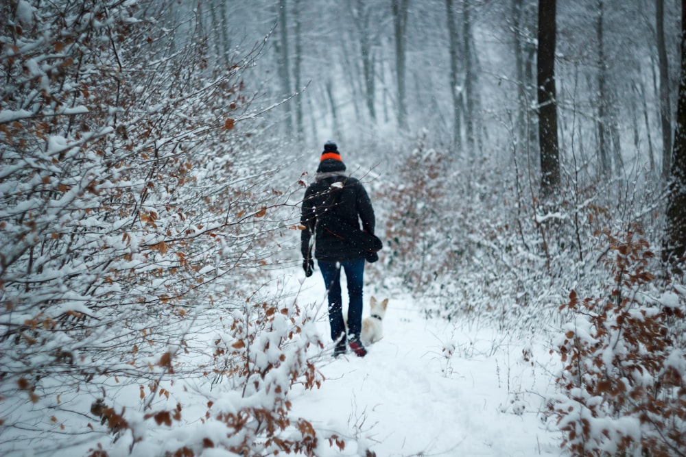 pessoa caminhando entre árvores durante o inverno