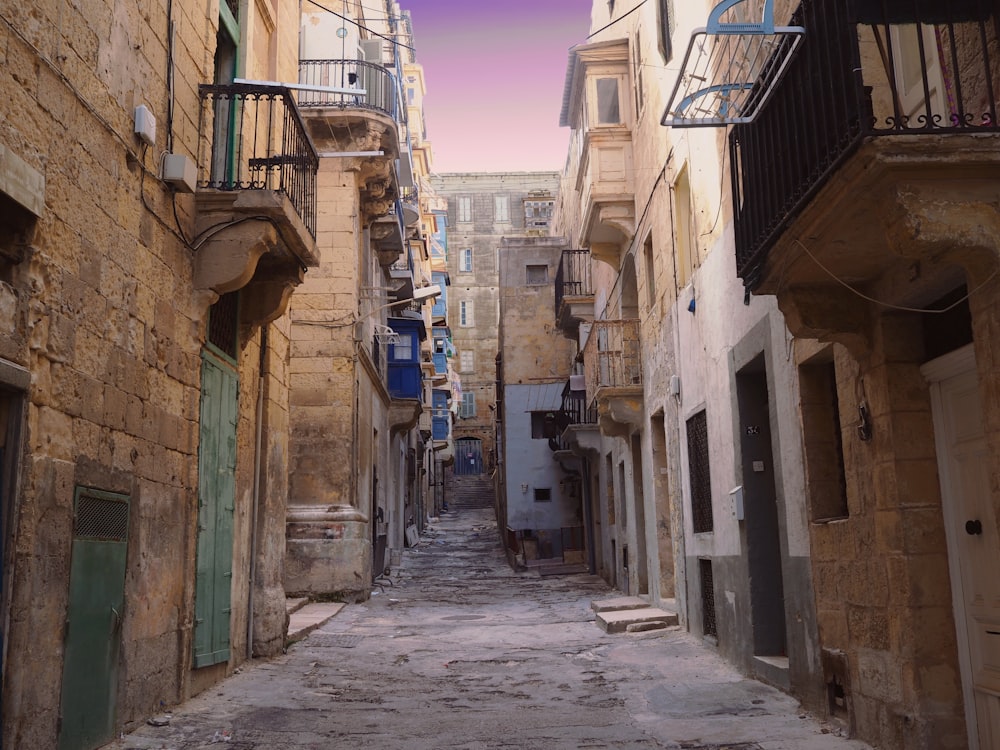 pathway near buildings under white sky during daytime photography