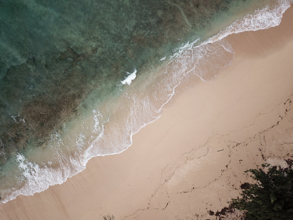 aerial photography of seashore