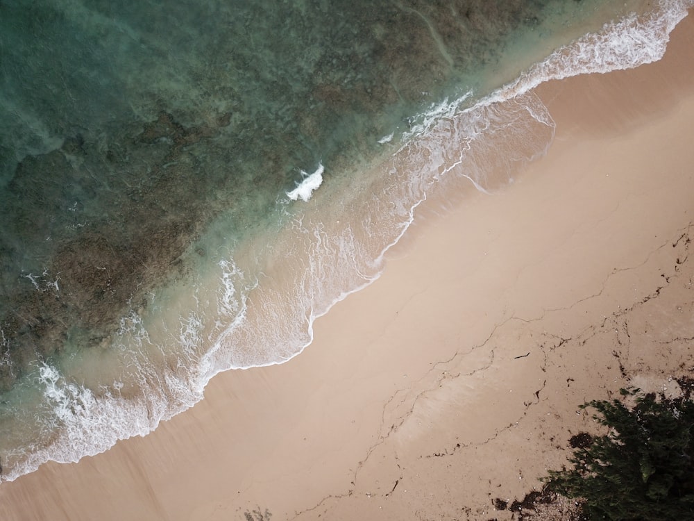 Fotografia aerea della riva del mare