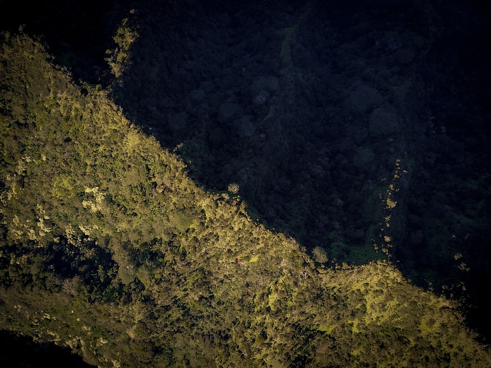 fotografia aérea do corpo d'água