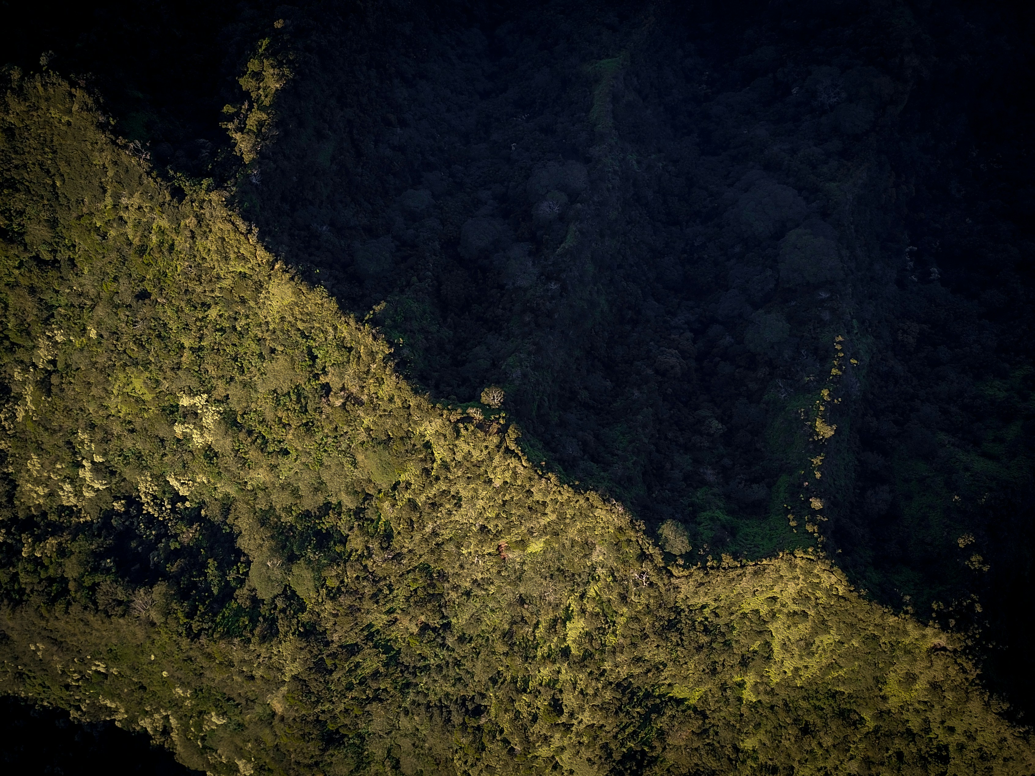 aerial photography of body of water