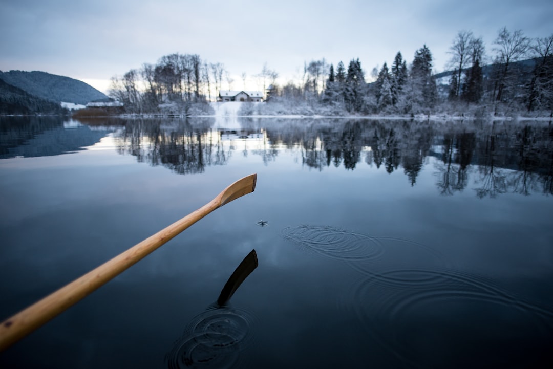 boat paddle on body of water