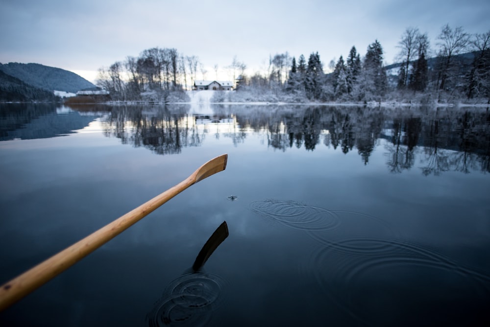 boat paddle on body of water