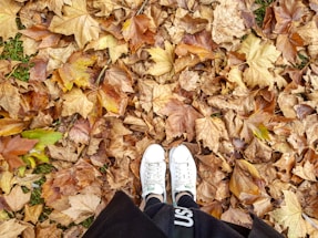 A pair of white sneakers is seen standing on a ground covered with fallen autumn leaves. The leaves are predominantly brown, yellow, and orange, indicating a classic fall scene. The tips of the shoes are positioned towards the lower center of the image, and a hint of grass can be seen beneath the leaves.