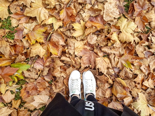 A pair of white sneakers is seen standing on a ground covered with fallen autumn leaves. The leaves are predominantly brown, yellow, and orange, indicating a classic fall scene. The tips of the shoes are positioned towards the lower center of the image, and a hint of grass can be seen beneath the leaves.