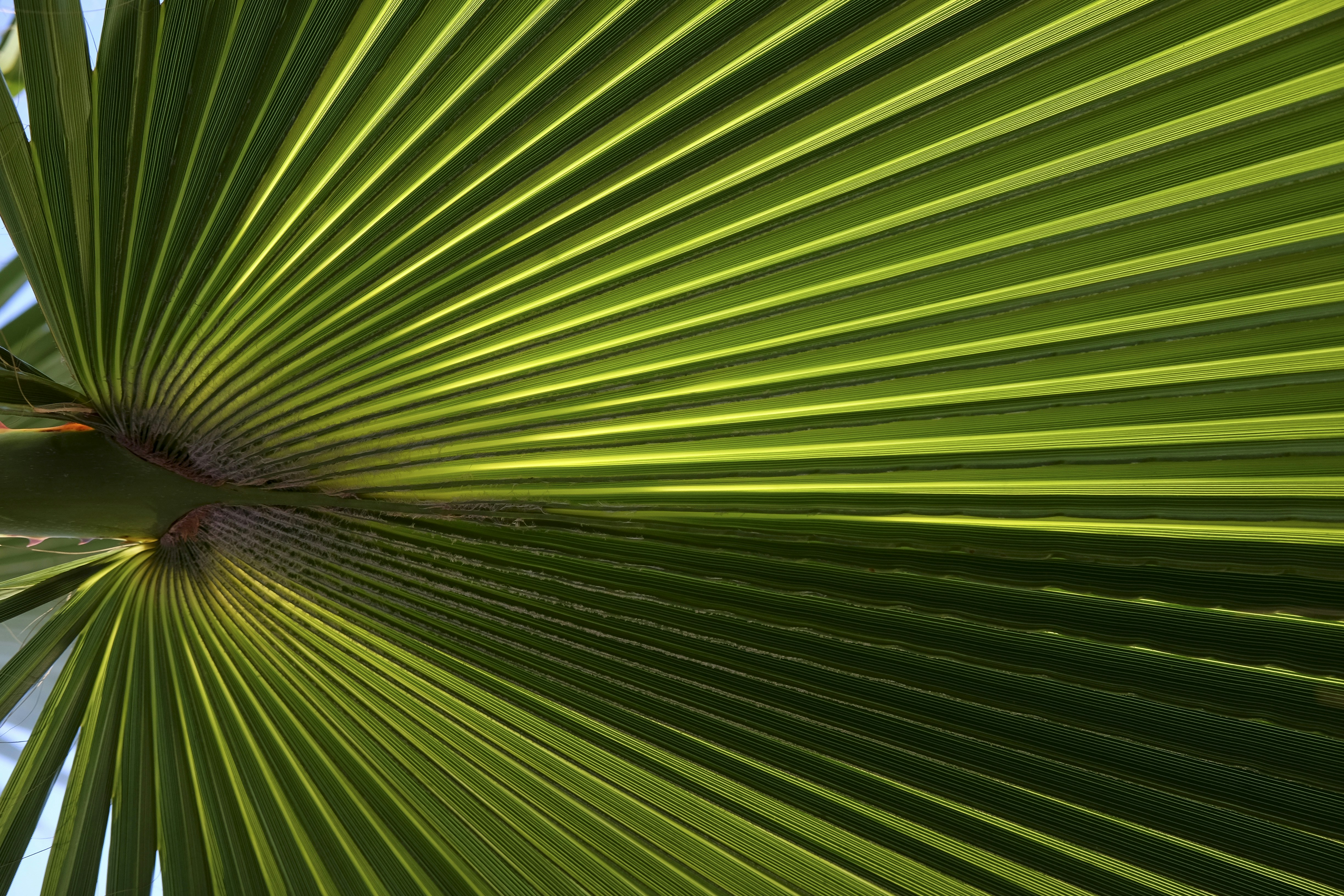 Photo by bugaiova_valeriya