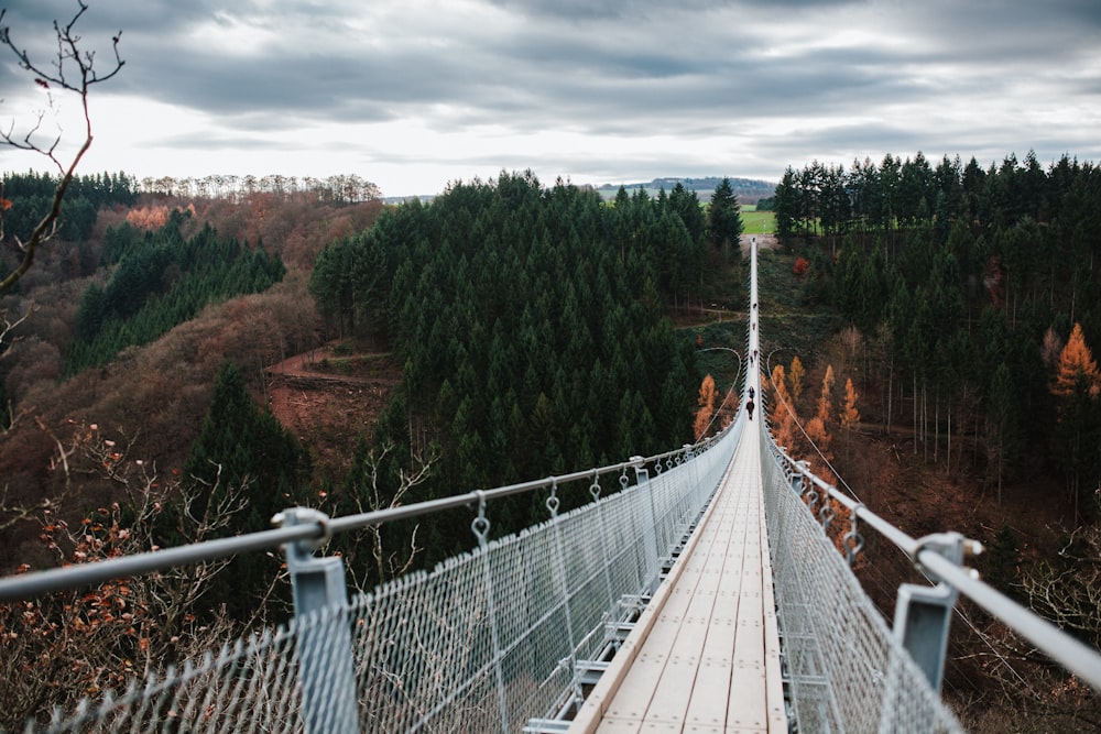 gray and white suspension bridge taken at daytime