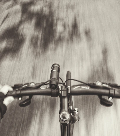Close-up of a cyclist's hands gripping the handlebars with a blurred background of pilgrims.