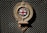 An emblem with the Union Jack in the center, flanked by wings, and inscribed with 'Royal Automobile Club Associate'. The emblem is mounted on a dark mesh background.