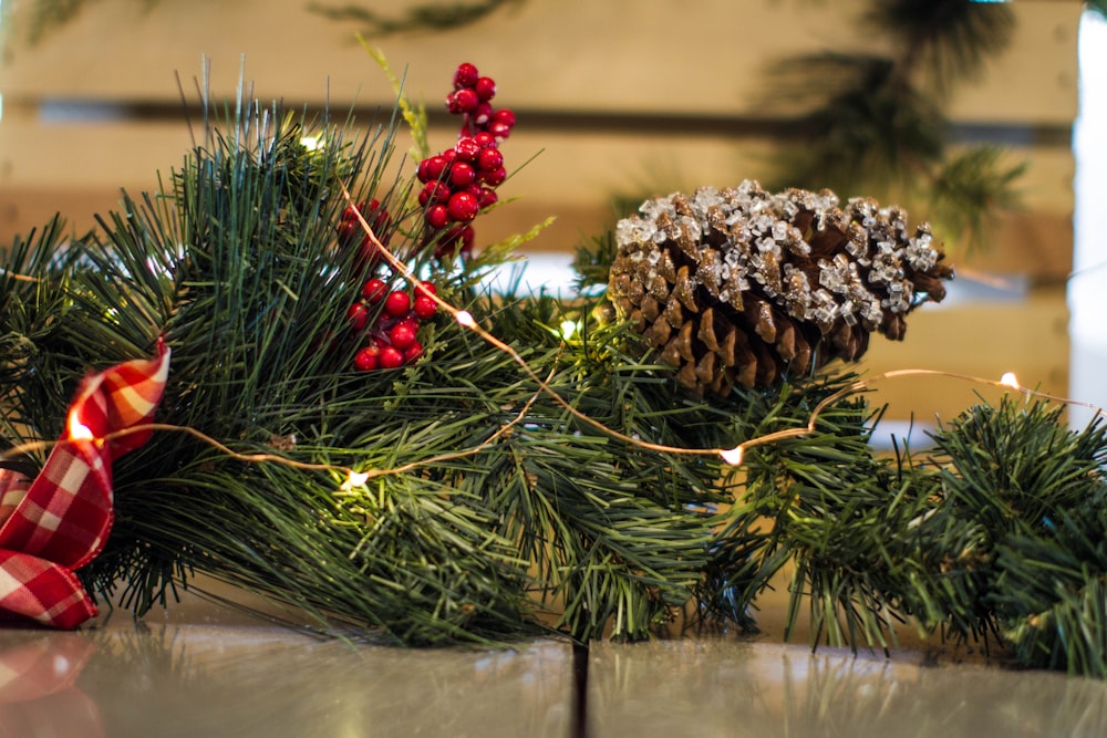 brown pine cone and yellow string lights