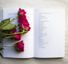 red roses on book