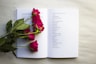 red roses on book