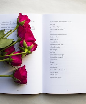 red roses on book